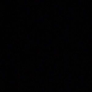 Meet your Posher, Isabella